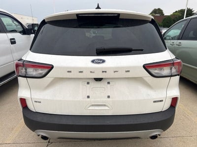 2020 Ford Escape Hybrid SE Sport