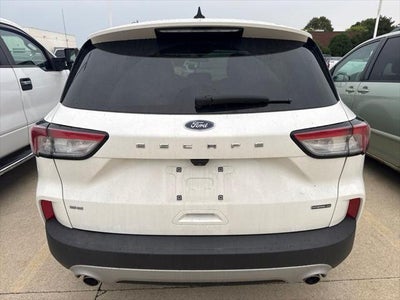 2020 Ford Escape SE Sport