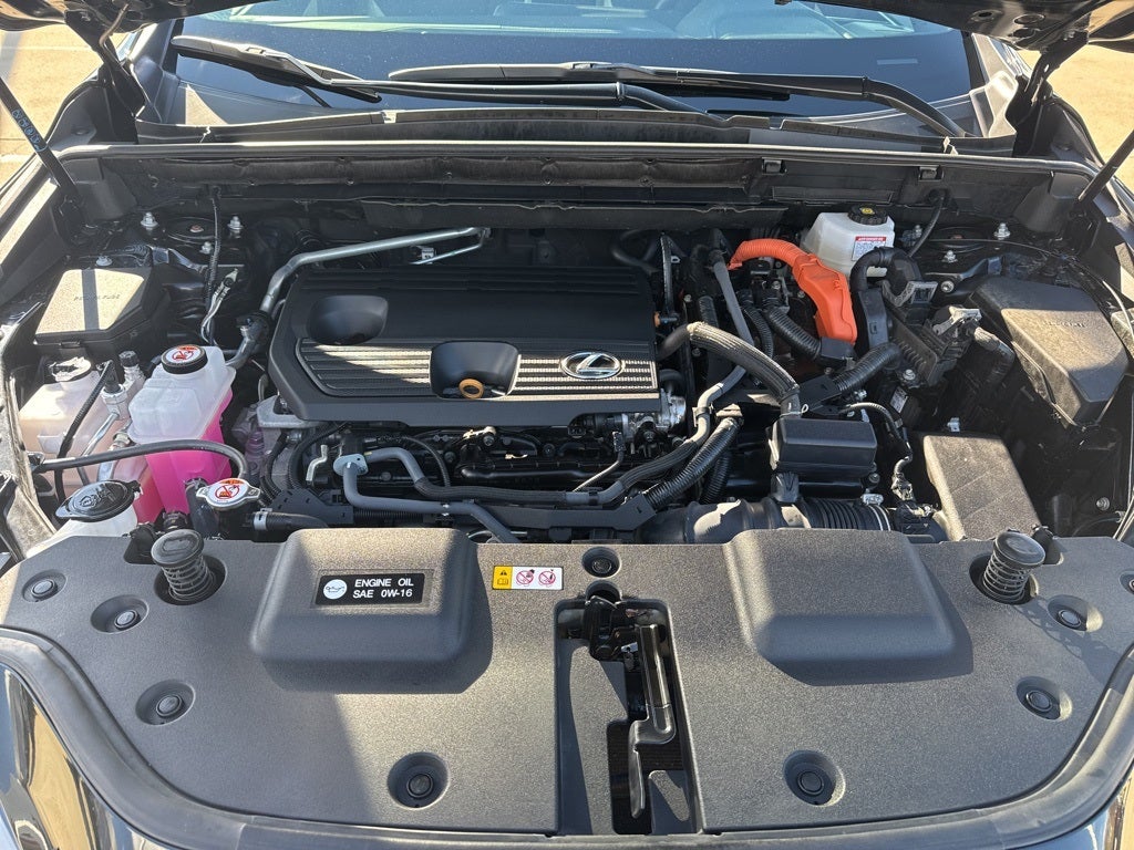 2024 Lexus NX 350h 350h Base