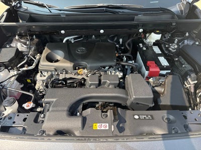 2025 Toyota RAV4 XLE Premium TOYOTA GOLD CERTIFIED