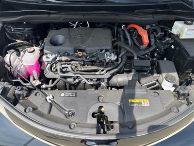 2025 Toyota Sienna Limited 7 Passenger TOYOTA GOLD CERTIFIED