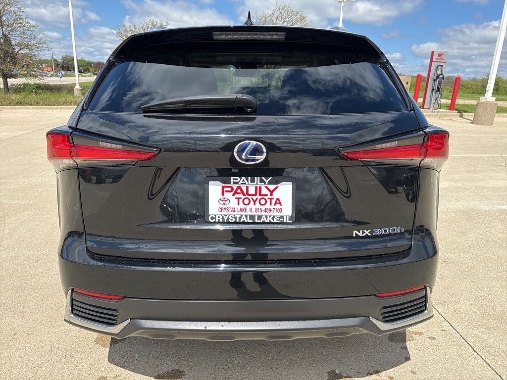 2020 Lexus NX 300h 300h