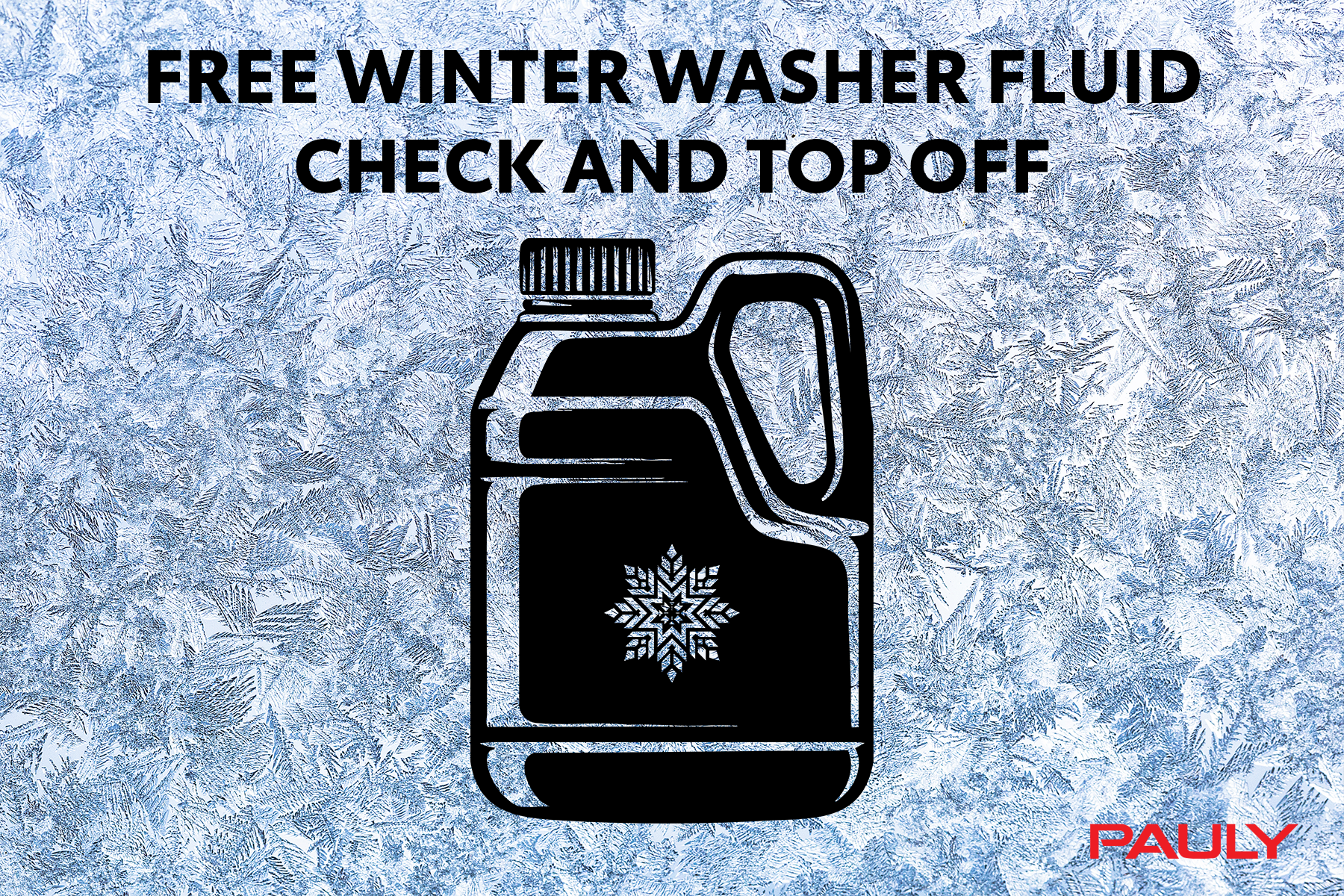 Complimentary washer fluid inspection